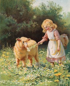 Liten jente mater en blomst til en sau i en eng (chromolitho) av English School