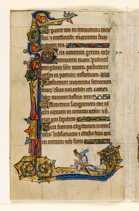 MS 1-2005, fol. 115v: En kanin som rir på en hund, jakter, marginal dekorasjon fra Macclesfield Psalter, Use of Sarum, East Anglia, ca. 1330 av English School