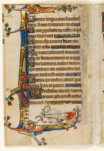 MS 1-2005, fol. 193v: A Stag Lassoed by a Man, marginal dekorasjon fra Macclesfield Psalter, Use of Sarum, East Anglia, ca. 1330 av English School