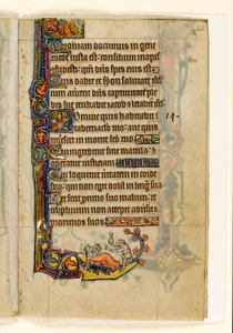 MS 1-2005, fol. 22r: Apedoktoren og hans bjørnepasient, marginale dekorasjon fra Macclesfield Psalter, Use of Sarum, East Anglia, ca. 1330 av English School