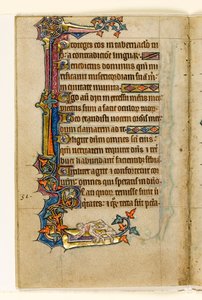 MS 1-2005, fol. 45v: An Ape peering in a Mans Bottom, marginal dekorasjon fra Macclesfield Psalter, Use of Sarum, East Anglia, ca. 1330 av English School