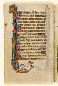 MS 1-2005, fol. 47v: En grotesk, marginal dekorasjon fra Macclesfield Psalter, Use of Sarum, East Anglia, ca. 1330 av English School