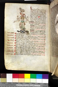 MS Hunter 251 f.47v, illustrasjon av en 