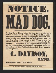 Mad dog notification, Hartlepool, 1843 av English School