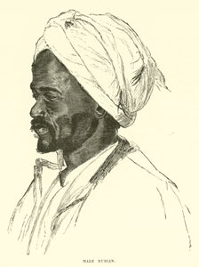Mannlig nubian av English School