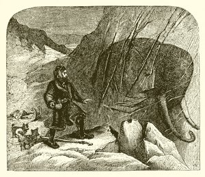 Mammut i isen