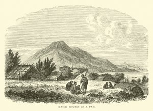 Maori-hus i en Pah av English School