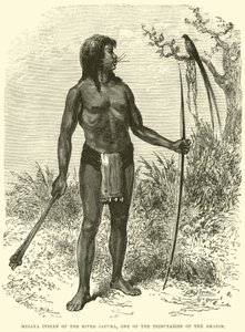Mesaya-indianer fra elven Japura, en av sideelvene til Amazonas av English School