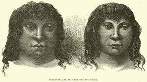 Miranhas indianere, fra Rio svart av English School