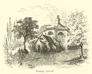 Monkey Island av English School