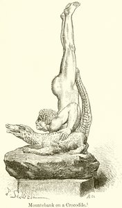 Scharlatan auf einem Krokodil von English School