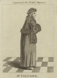 Herr Voltaire av English School