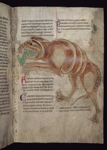 Ms.254 f.24 r Cocodrillus som svelger en mann av English School