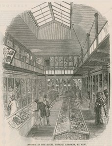 Museum i Royal Botanic Gardens, på Kew av English School