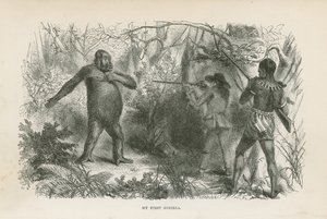 Min første gorilla av English School