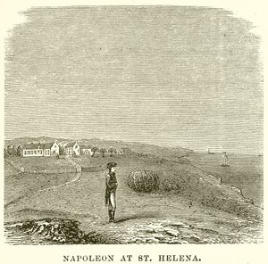 Napoleon ved St. Helena av English School