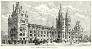 Natural History Museum, South Kensington (gravering) av English School
