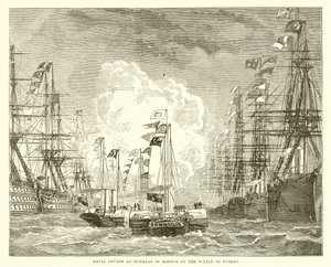 Naval Review på Spithead til ære for sultanen av Tyrkia av English School