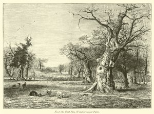 I nærheten av Goat Pen, Windsor Great Park av English School