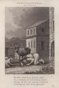 Nebukadnesar, Daniel VI, ver 32 (gravering) av English School