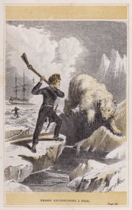 Nelson møter en bjørn (farget gravering) av English School