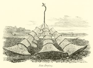 Netze Trocknen von English School