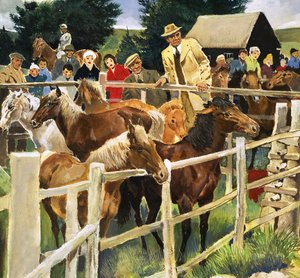 New Forest-ponnier til salgs, illustrasjon fra «Wonders of Nature» av English School