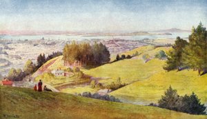 New Zealand: Auckland (fargelitografi) av English School