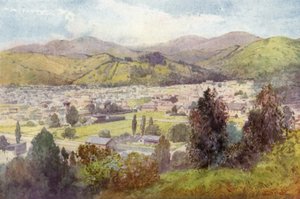 New Zealand: Nelson (fargelitografi) av English School