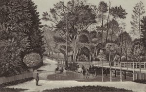 Newbury: Sandleford Water (litografi) av English School