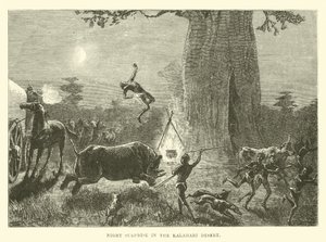 Nächtliche Überraschung in der Kalahari-Wüste von English School