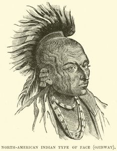 Nord-amerikansk indisk ansiktstype, Ojibway av English School