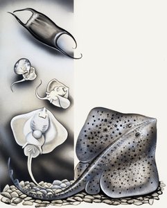 Nicht wie es scheint... von English School