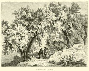 Olive Grove nær Venafro av English School