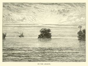 På Amazonas av English School
