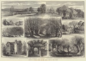 Åpning av Epping Forest by the Queen, Views in the Forest (gravering) av English School