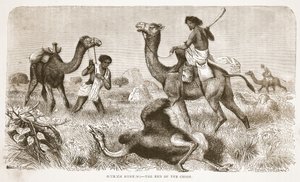 Strutsjakt - slutten på jakten, illustrasjon fra The Pictorial Edition of the Life and Discoveries of David Livingstone av J. Ewing Richie, pub. av A. Fullarton & Co., 1876 av English School