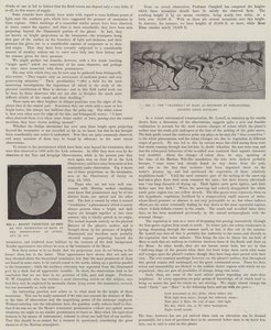 Vår nære nabo, Mars (litho) av English School