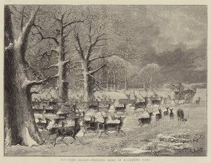 Utendørsavlastning, mating av hjort i Richmond Park (gravering) av English School