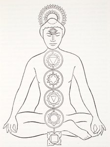 Padmasana eller lotusstilling av English School