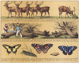 Side fra The New Picture Book (farge litho) av English School