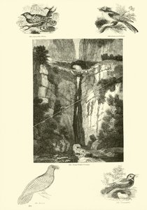 Side fra The Pictorial Museum of Animated Nature