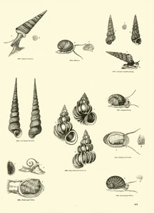 Side fra The Pictorial Museum of Animated Nature