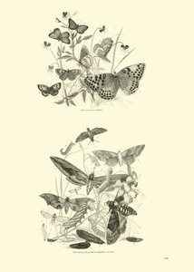 Side fra The Pictorial Museum of Animated Nature