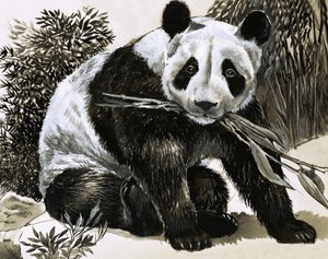 Panda av English School