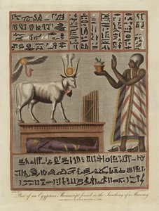 En del av et egyptisk manuskript funnet i en mumie av English School