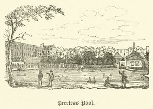Peerless Pool (gravering) av English School
