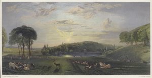 Petworth Park, Sussex (farget gravering) av English School