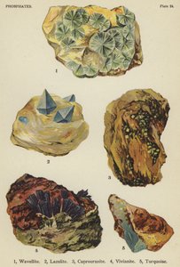 Fosfater, wavellitt, lazulitt, cuprouranite, vivianitt, turkis (farge litho) av English School