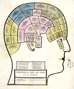 Frenologisk hode og diagram, pub. 1857 (farge litho) av English School